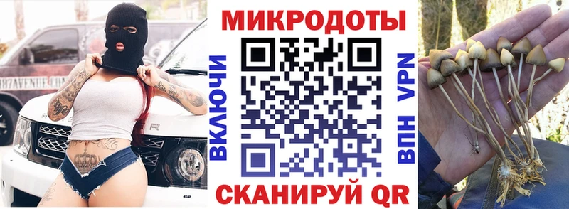 Псилоцибиновые грибы Psilocybine cubensis  Купить закладки  Гулькевичи 